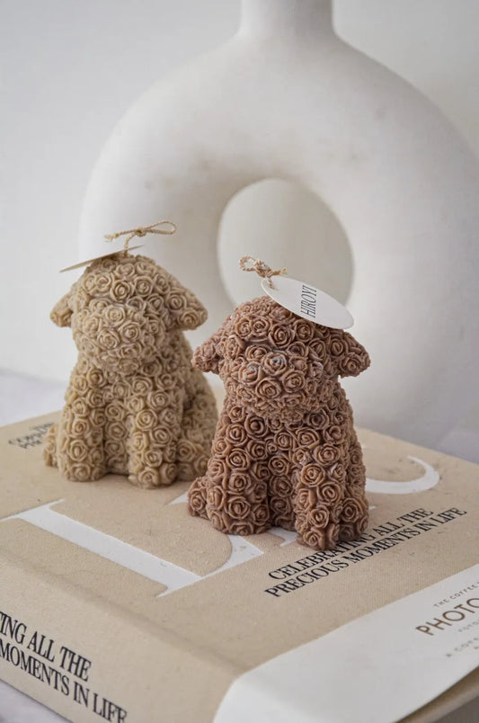Teddy ljus